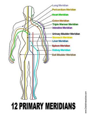 illustration of the human body with lines drawn from head to toe signifying the body's meridians